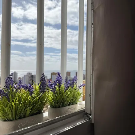 Casita Evisuit Appartement *
